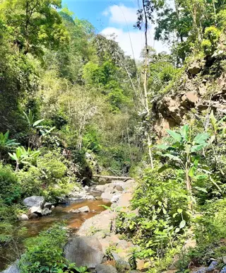 Tauche in das natürliche Munduk ein